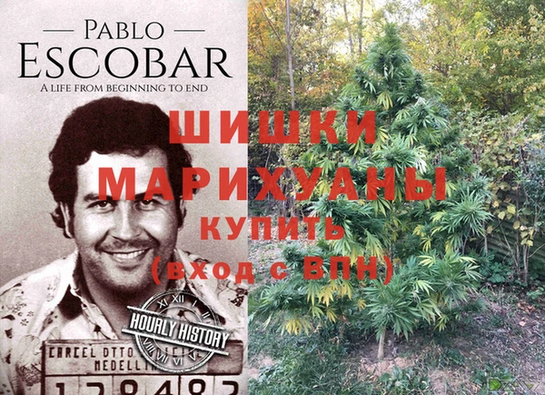 PSILOCYBIN Балабаново