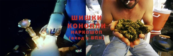 PSILOCYBIN Балабаново