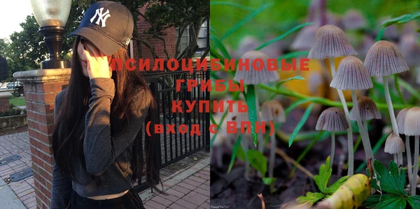 mdpv Покровск