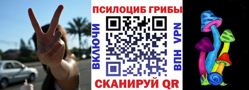 магазин продажи   Томари  Галлюциногенные грибы Psilocybine cubensis 